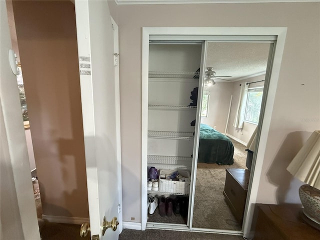 2906 Lichen Ln Unit B, Clearwater, FL 33760 - photo 10