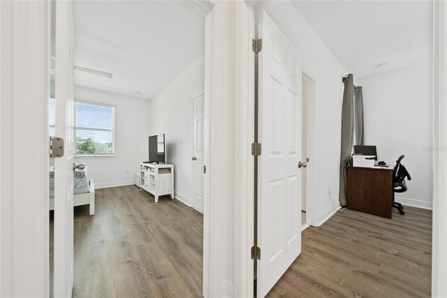 2405 Firstlight Way, Winter Park, FL 32792 - photo 39