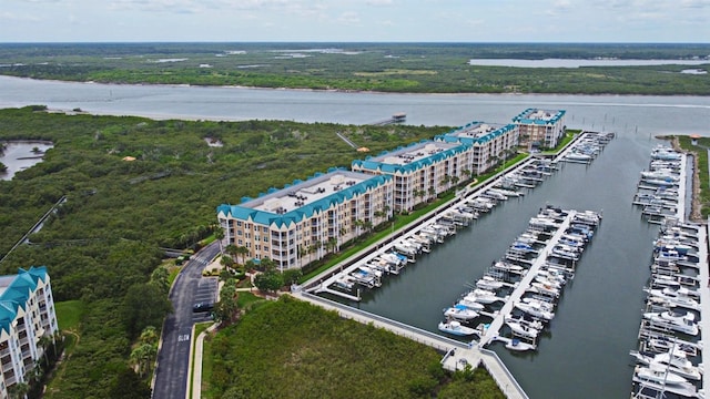 4624 Harbour Village Blvd Unit 4206, Ponce Inlet, FL 32127 - aerial view of numerous boat docks and a large body of water