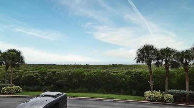 4624 Harbour Village Blvd Unit 4206, Ponce Inlet, FL 32127 - view of asphalt road with curbs