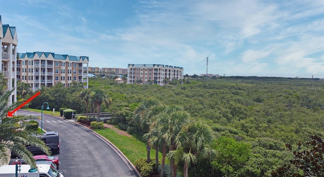 4624 Harbour Village Blvd Unit 4206, Ponce Inlet, FL 32127 - view of community