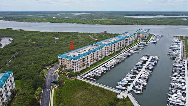 4624 Harbour Village Blvd Unit 4206, Ponce Inlet, FL 32127 - drone / aerial view of a marina and a large body of water