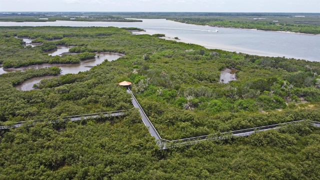 4624 Harbour Village Blvd Unit 4206, Ponce Inlet, FL 32127 - bird's eye view of a large body of water and a heavily wooded area