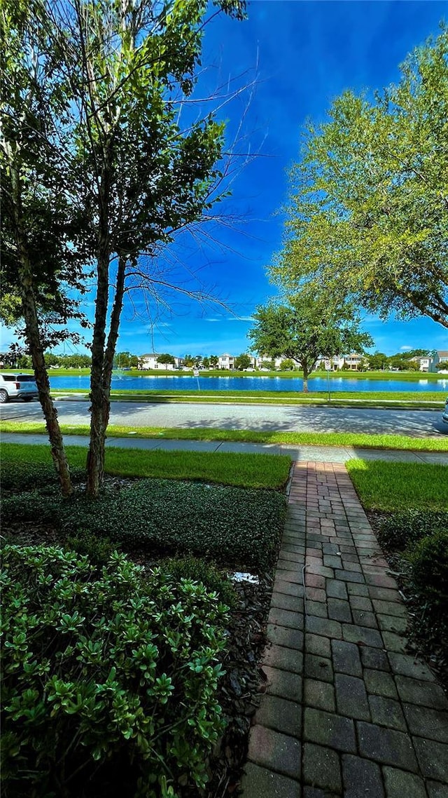 8625 Coventry Park Way, Windermere, FL 34786 - surrounding community featuring a water view