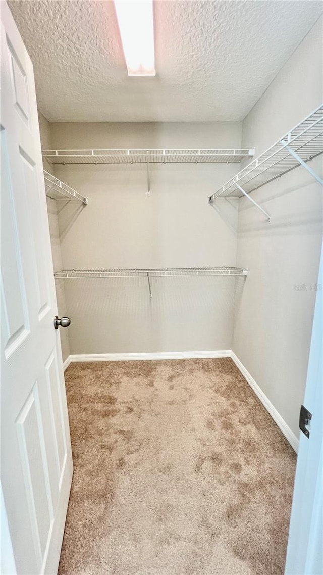 8625 Coventry Park Way, Windermere, FL 34786 - spacious closet with carpet floors
