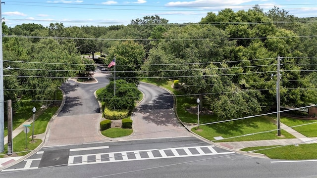 962 Ashworth Overlook Dr Unit C, Apopka, FL 32712 - view of home's community featuring a view of trees