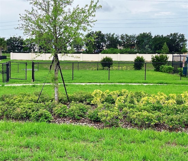 726 Ginger Dr, Haines City, FL 33844 - view of yard