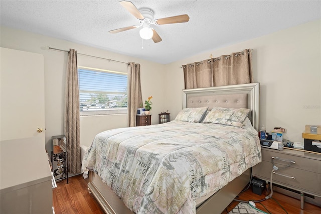 4807 Turnbull Dr, Orlando, FL 32812 - photo 11