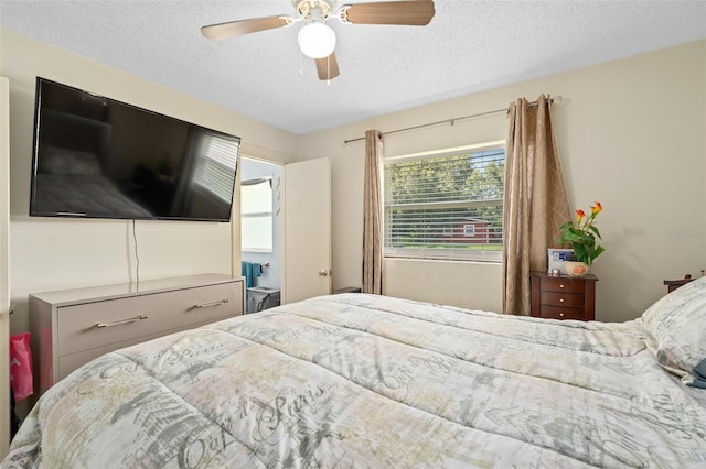 4807 Turnbull Dr, Orlando, FL 32812 - photo 12
