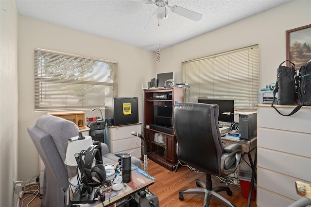 4807 Turnbull Dr, Orlando, FL 32812 - photo 17