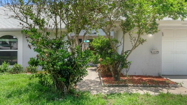 1049 Neely St, Oviedo, FL 32765 - photo 5