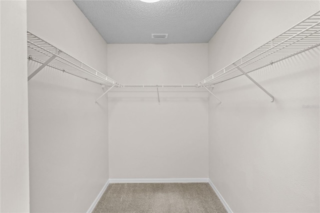 3388 Cypress Point Cir, Saint Cloud, FL 34772 - walk in closet with carpet floors