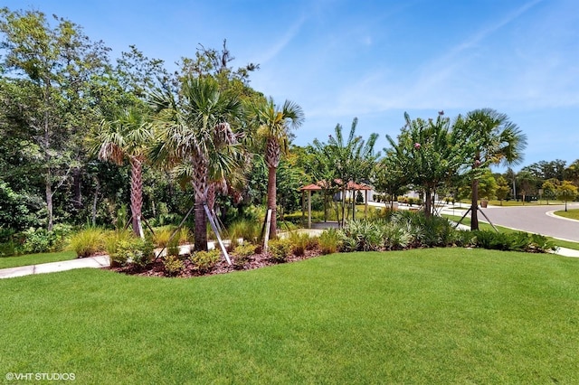 4501 Sparkling Shell Ave, Kissimmee, FL 34746 - view of green lawn featuring a gazebo