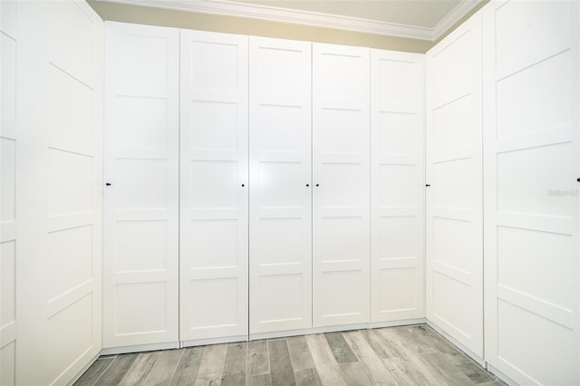 9379 Royal Estates Blvd, Orlando, FL 32836 - view of closet