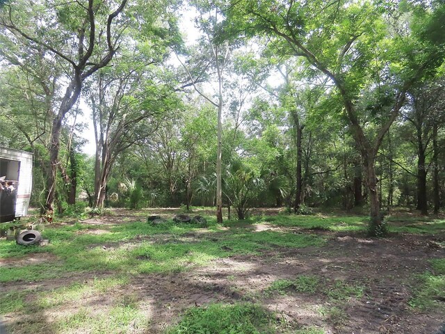 32944 County Road 437, Sorrento, FL 32776 - photo 5