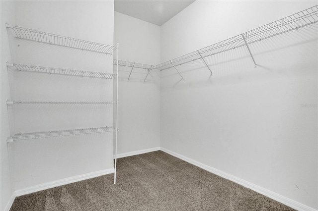 17458 Chateau Pine Way, Clermont, FL 34711 - walk in closet with carpet flooring