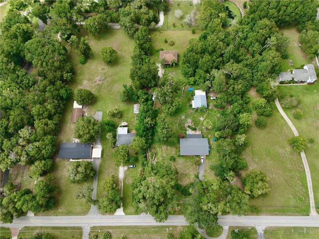 425 Mercers Fernery Rd, Deland, FL 32720 - photo 39