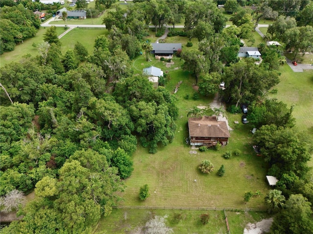 425 Mercers Fernery Rd, Deland, FL 32720 - photo 43