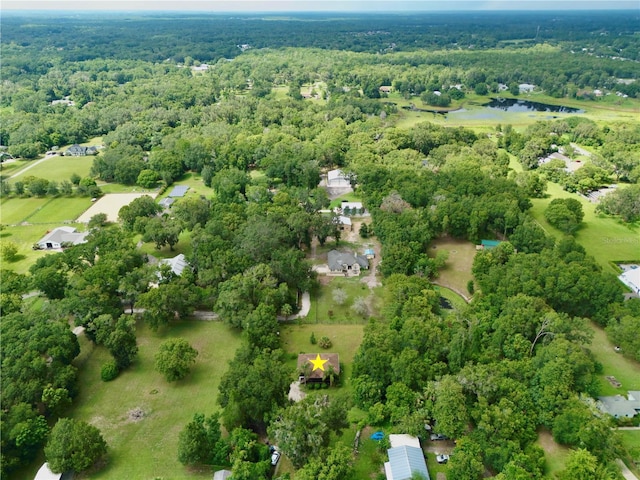 425 Mercers Fernery Rd, Deland, FL 32720 - photo 45