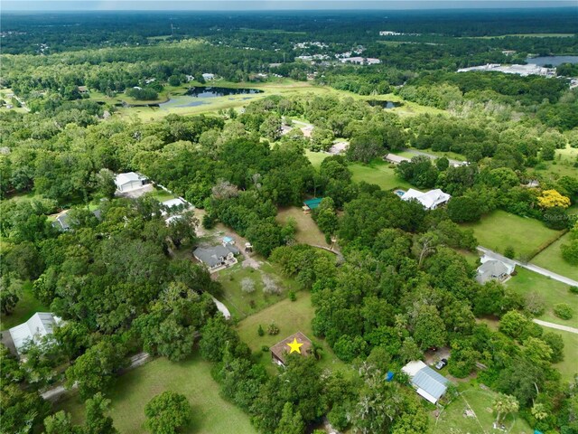 425 Mercers Fernery Rd, Deland, FL 32720 - photo 46