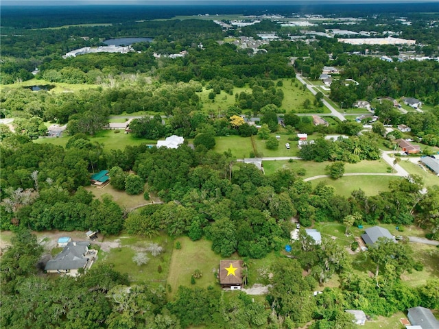 425 Mercers Fernery Rd, Deland, FL 32720 - photo 47