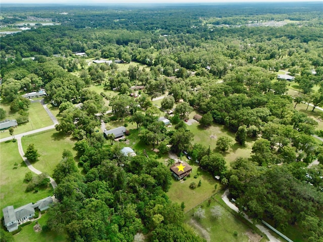 425 Mercers Fernery Rd, Deland, FL 32720 - photo 52