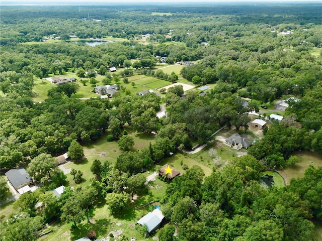 425 Mercers Fernery Rd, Deland, FL 32720 - photo 54