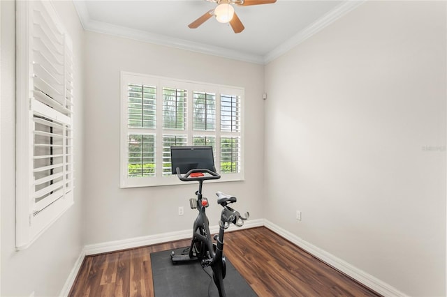 32619 View Haven Ln, Sorrento, FL 32776 - exercise area featuring wood finished floors, ceiling fan, and crown molding