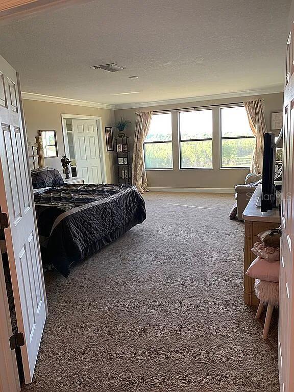 3922 Sunset Lake Dr, Lakeland, FL 33810 - photo 20
