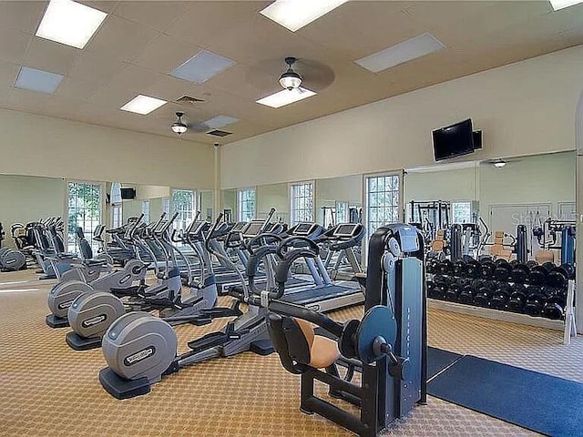 3922 Sunset Lake Dr, Lakeland, FL 33810 - photo 61