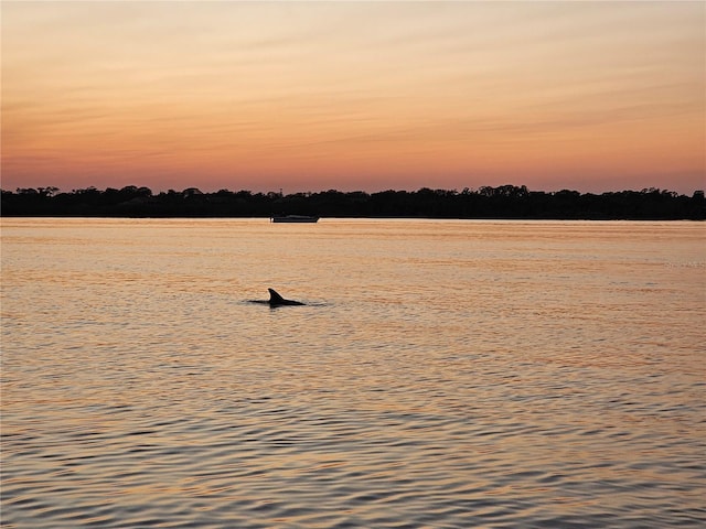 142 Reef Rd, South Daytona, FL 32119 - water view