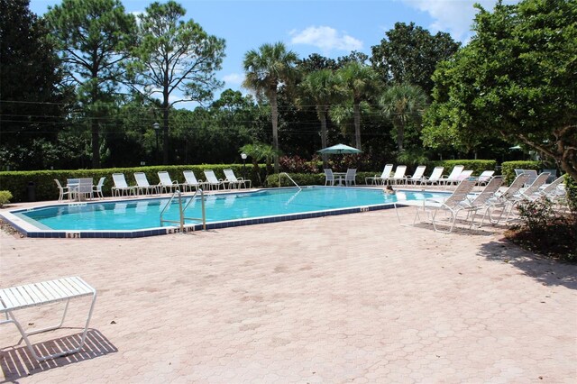 6140 Burnside Cir Unit 204, Orlando, FL 32822 - community pool with a patio and view of wooded area