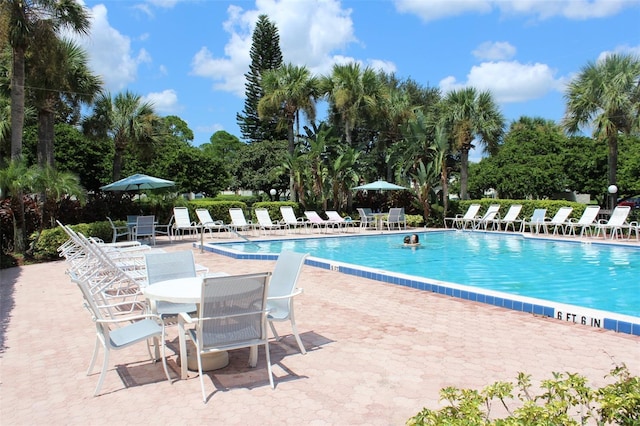 6140 Burnside Cir Unit 204, Orlando, FL 32822 - community pool featuring a patio and view of scattered trees