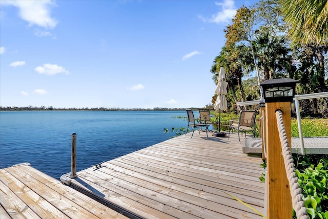 168 Bethel Oaks Ln, Deltona, FL 32738 - photo 48