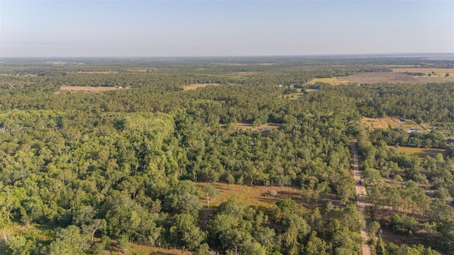 LOT18 Kelly Ridge Rd, Frostproof, FL 33843 - photo 4