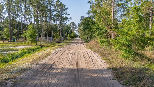 LOT18 Kelly Ridge Rd, Frostproof, FL 33843 - photo 9