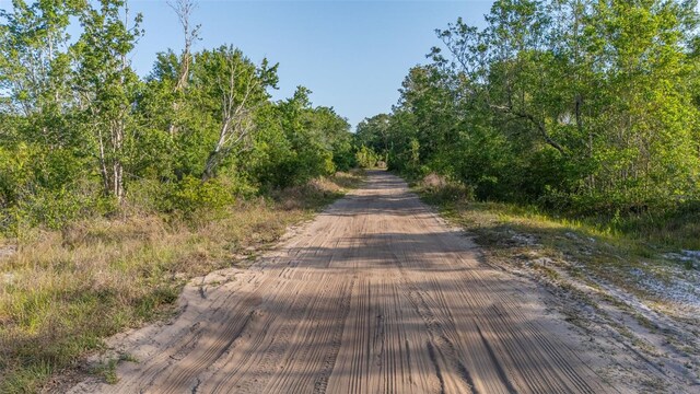 LOT18 Kelly Ridge Rd, Frostproof, FL 33843 - photo 10