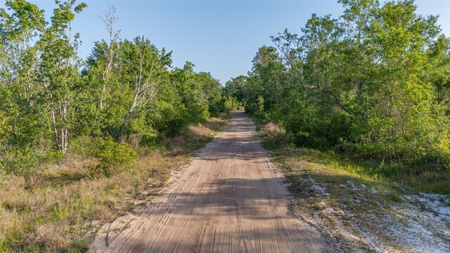 LOT18 Kelly Ridge Rd, Frostproof, FL 33843 - photo 11