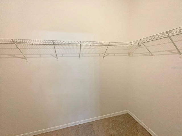 2587 Isabela Ter, Kissimmee, FL 34743 - walk in closet featuring light colored carpet