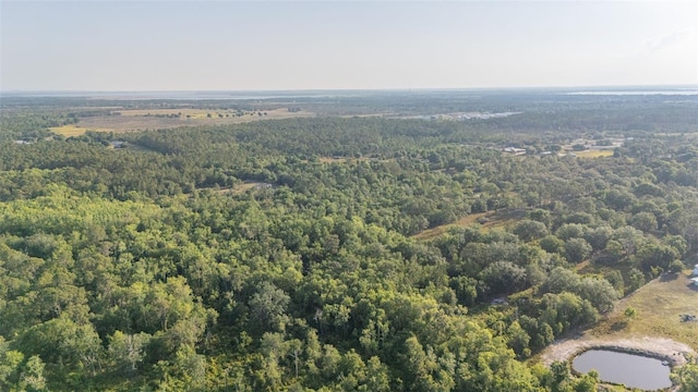 LOT17 Kelly Ridge Rd, Frostproof, FL 33843 - photo 7