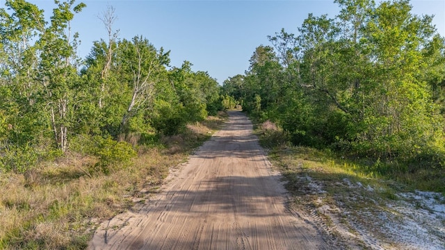 LOT17 Kelly Ridge Rd, Frostproof, FL 33843 - photo 11