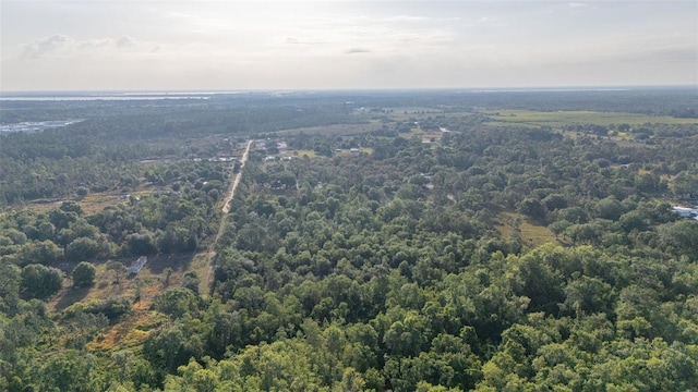 LOT16 Kelly Ridge Rd, Frostproof, FL 33843 - photo 8
