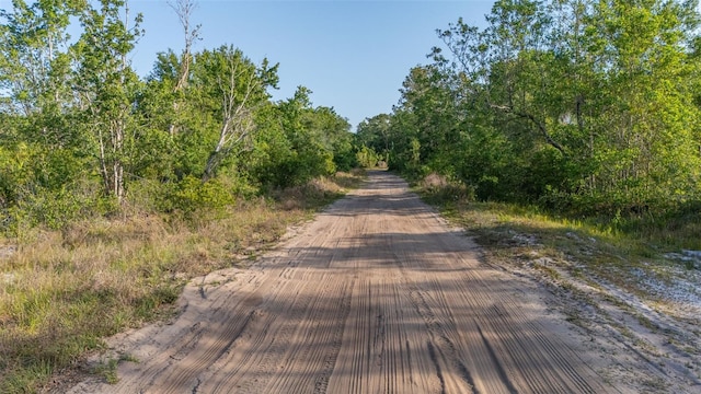 LOT16 Kelly Ridge Rd, Frostproof, FL 33843 - photo 11