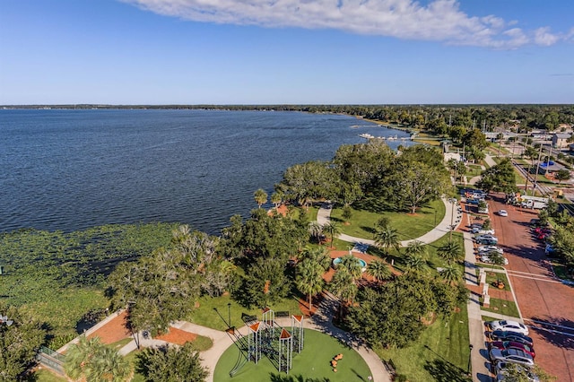 12903 Trovita Dr, Grand Island, FL 32735 - photo 44