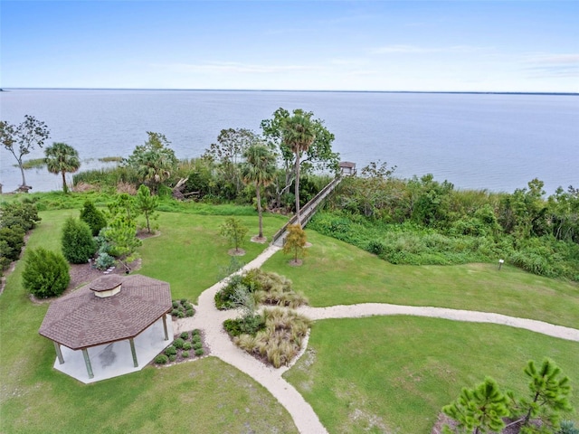 1219 Foltz Loop, Oakland, FL 34787 - bird's eye view of a nearby body of water