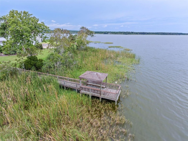 1219 Foltz Loop, Oakland, FL 34787 - dock featuring a water view