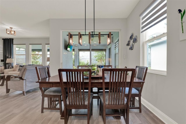 1219 Foltz Loop, Oakland, FL 34787 - dining area with plenty of natural light and light wood-style floors