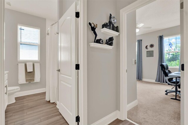 1219 Foltz Loop, Oakland, FL 34787 - corridor with an office area and light wood-style floors