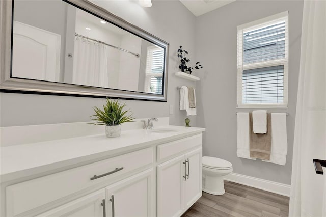 1219 Foltz Loop, Oakland, FL 34787 - full bathroom with vanity, wood finished floors, plenty of natural light, and a shower with shower curtain