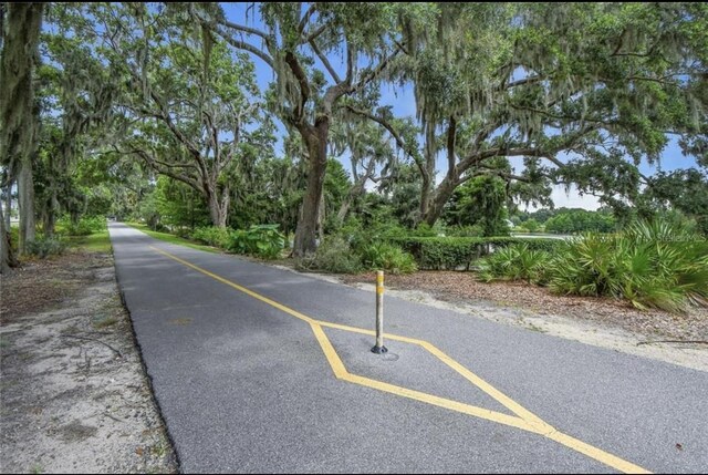 1219 Foltz Loop, Oakland, FL 34787 - view of asphalt street with view of scattered trees